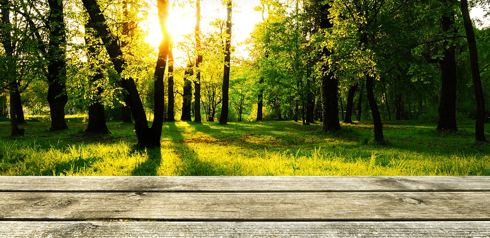 Nettoyer terrasse en bois